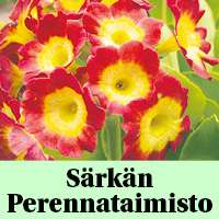 Jari Särkkä